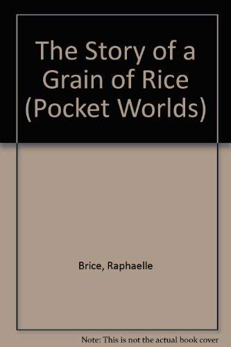 Imagen de archivo de The Story of a Grain of Rice (Pocket Worlds S.) a la venta por AwesomeBooks