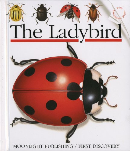 Beispielbild fr Ladybird zum Verkauf von Better World Books