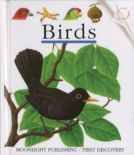 Imagen de archivo de Birds : Set of 6 a la venta por Better World Books