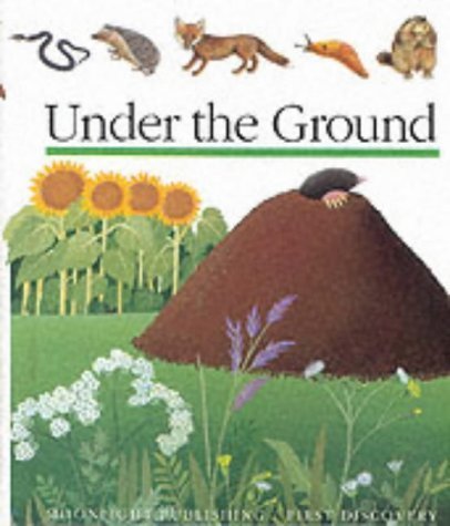 9781851031092: Under the Ground (First Discovery Series)