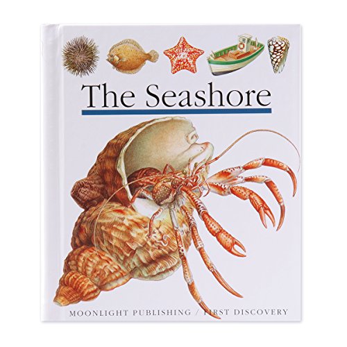 Stock image for The Seashore (First Discovery) (First Discovery Series) for sale by WorldofBooks