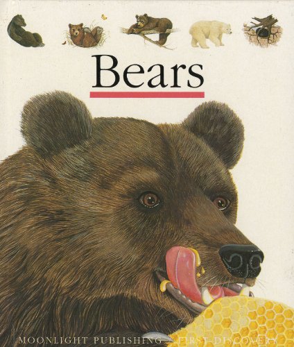 9781851031450: Bears (First Discovery Series)