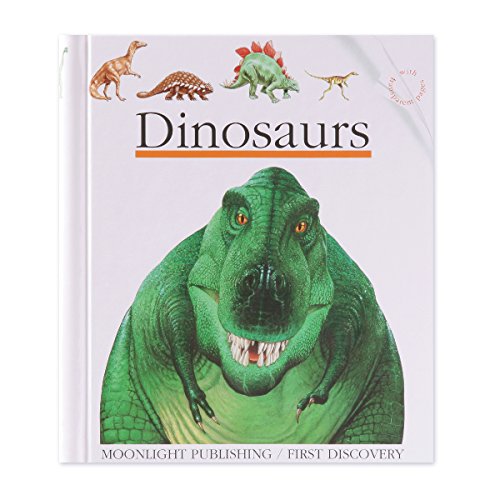 Stock image for Dinosaurs (First Discovery) (First Discovery Series) for sale by AwesomeBooks
