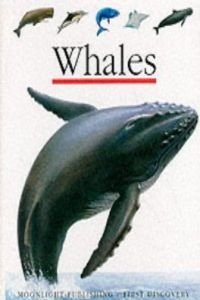 Imagen de archivo de Whales (First Discovery) (First Discovery Series) a la venta por WorldofBooks