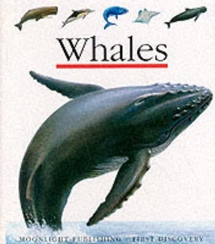 Stock image for Whales (First Discovery) (First Discovery Series) for sale by WorldofBooks