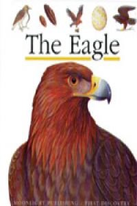 Beispielbild fr The Eagle [First Discovery Series] zum Verkauf von Zoom Books Company