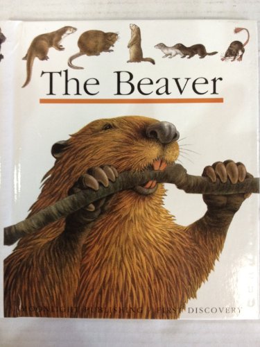 Imagen de archivo de The Beaver (First Discovery) (First Discovery Series) a la venta por WorldofBooks