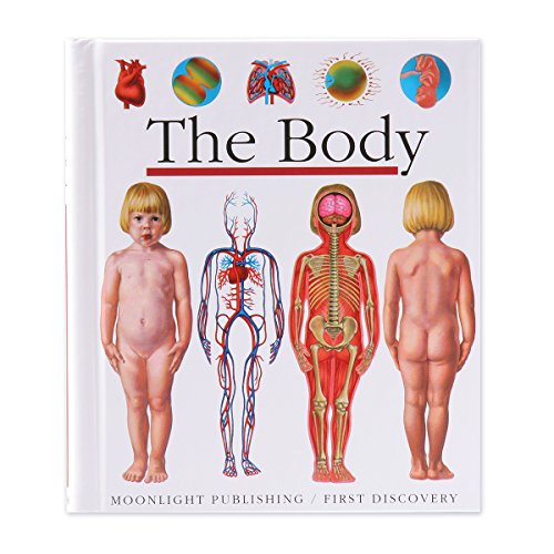 Stock image for The Body (First Discovery) (First Discovery Series) for sale by WorldofBooks