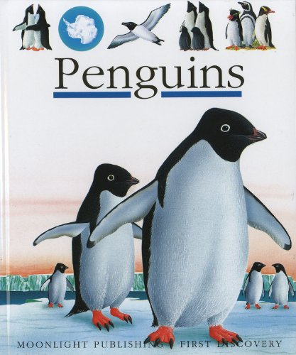 Imagen de archivo de Penguins (First Discovery) a la venta por More Than Words