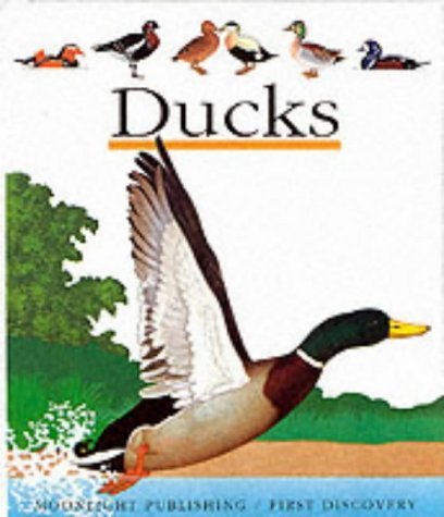 Beispielbild fr Ducks (First Discovery) (First Discovery Series) zum Verkauf von WorldofBooks