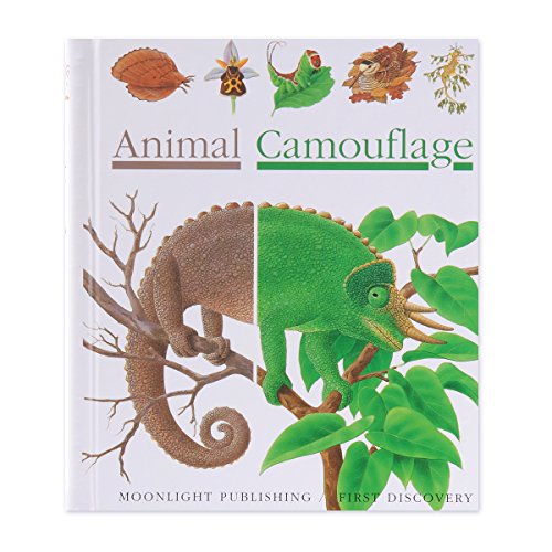 Imagen de archivo de Animal Camouflage (First Discovery) (First Discovery Series) a la venta por WorldofBooks