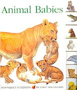 9781851033041: Animal Babies: Seasons