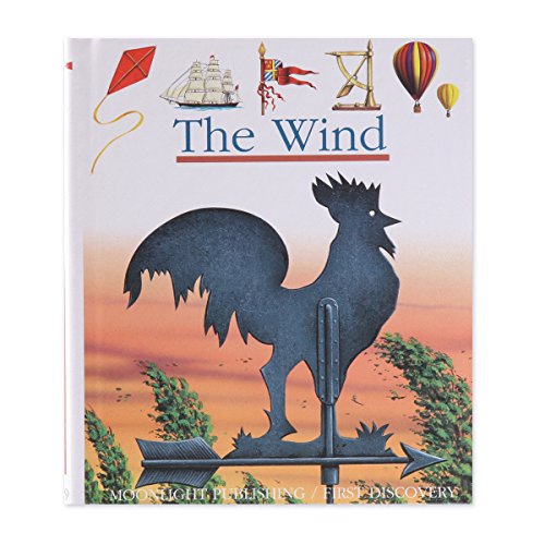 Wind (First Discovery Series) (9781851033188) by Grant, Donald
