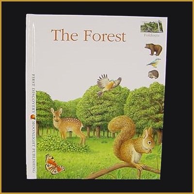 Stock image for The Forest (First Discovery: Foldouts) (First Discovery: Foldouts S.) for sale by WorldofBooks
