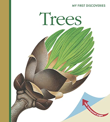 9781851034017: Trees: Volume 19 (My First Discoveries)