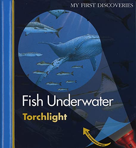 9781851034093: Fish Underwater (My First Discoveries Torchlight)