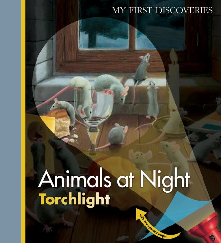 9781851034130: Animals at Night: 32 (My First Discoveries/Torchlight)