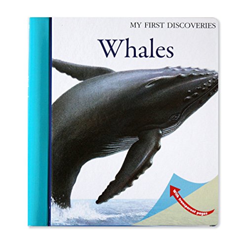 Beispielbild fr Whales zum Verkauf von Better World Books: West