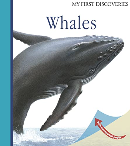 9781851034253: Whales (My First Discoveries)