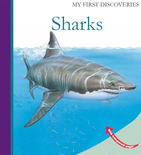 Beispielbild fr Sharks (My First Discoveries) zum Verkauf von New Legacy Books