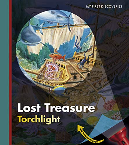 Imagen de archivo de Lost Treasure a la venta por Blackwell's