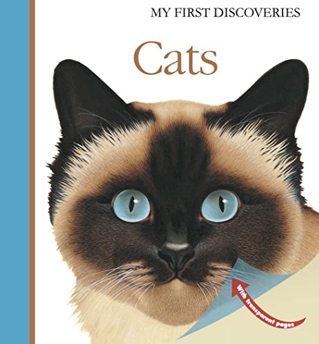 Stock image for Cats (My First Discoveries) for sale by Monster Bookshop