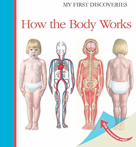 Stock image for How the Body Works (My First Discoveries) for sale by HPB-Ruby