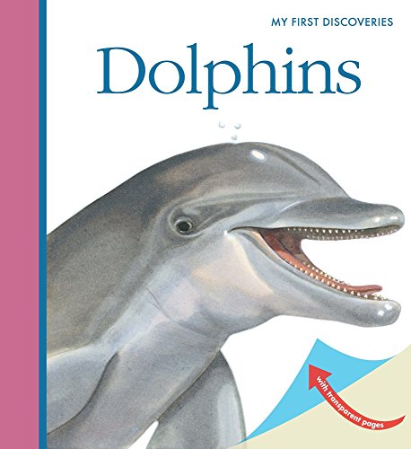 Imagen de archivo de Dolphins a la venta por Blackwell's