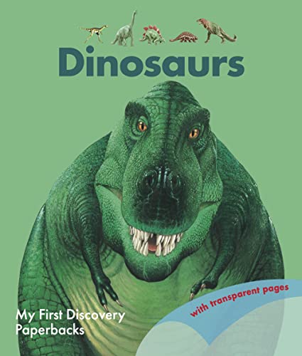 Stock image for Dinosaurs My First Discovery Paperbacks for sale by PBShop.store US