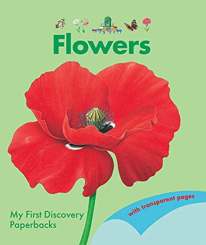 9781851037575: Flowers (My First Discovery Paperbacks)