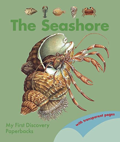 Stock image for The Seashore for sale by Blackwell's