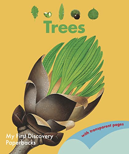 9781851037681: Trees (My First Discovery Paperbacks)