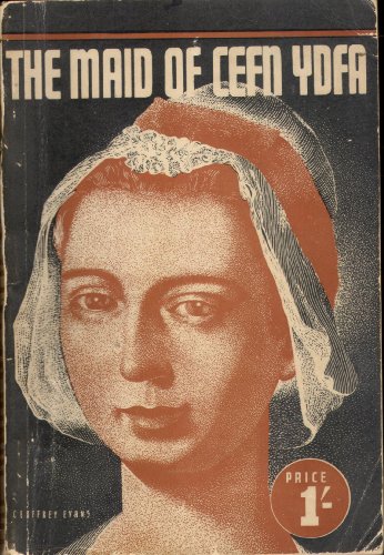 9781851221059: The Maid of Cefn Ydfa