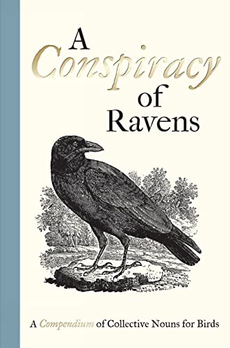 9781851244096: A Conspiracy of Ravens: A Compendium of Collective Nouns for Birds