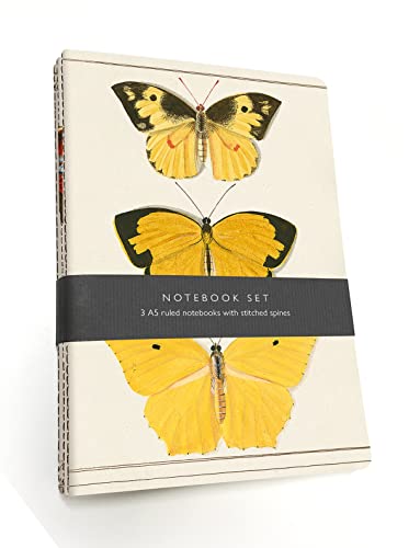 Stock image for Butterfly Notebook Set: 3 A5 lined notebooks with stitched spines for sale by Monster Bookshop