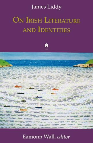 Imagen de archivo de On Irish Literature and Identities a la venta por GF Books, Inc.