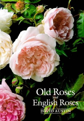 Stock image for Old Roses and English Roses for sale by New Legacy Books