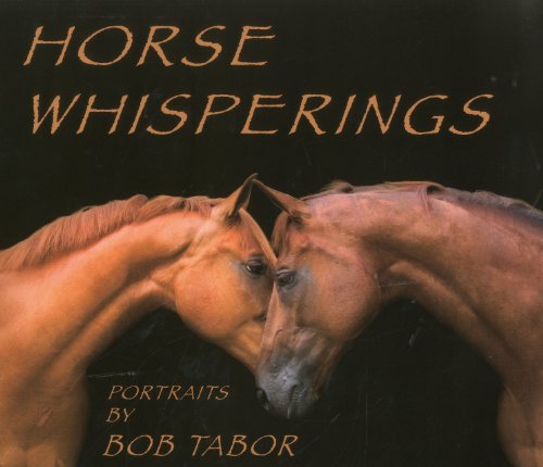 9781851496358: Horse Whisperings Portraits by Bob Tabor /anglais