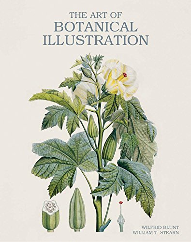 Stock image for The Art of Botanical Illustration for sale by GF Books, Inc.