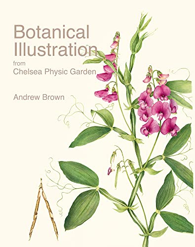 Beispielbild fr Botanical Illustration from Chelsea Physic Garden zum Verkauf von St Paul's Bookshop P.B.F.A.