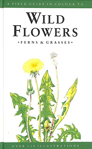 Imagen de archivo de A Field Guide to Wild Flowers, Ferns and Grasses a la venta por WorldofBooks