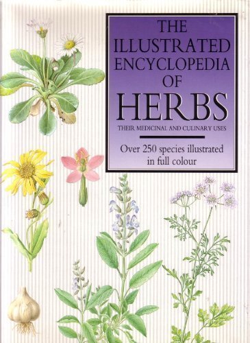 Beispielbild fr The Illustrated Encyclopedia of Herbs: Their Medicinal and Culinary Uses zum Verkauf von WorldofBooks