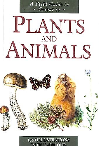 Imagen de archivo de Plants and Animals Field Guide in Colour a la venta por Better World Books Ltd