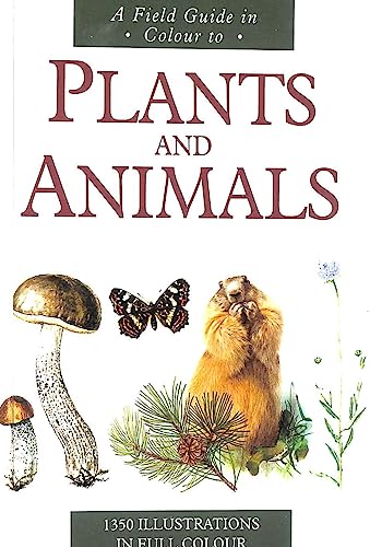Stock image for A Field Guide in Colour to PLANTS and ANIMALS ( 1350 ILLUSTRATIONS IN FULL COLOUR ) for sale by AwesomeBooks
