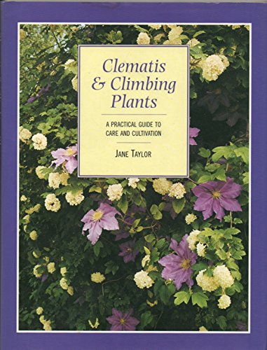 Stock image for Climbing Plants for sale by Goldstone Books