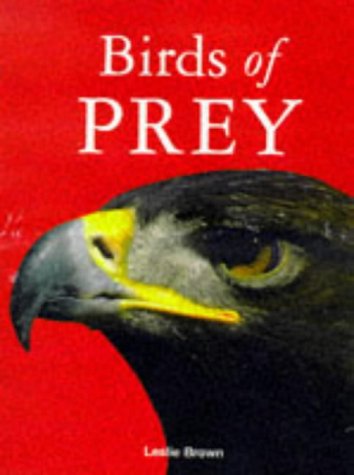 9781851527328: Birds of Prey