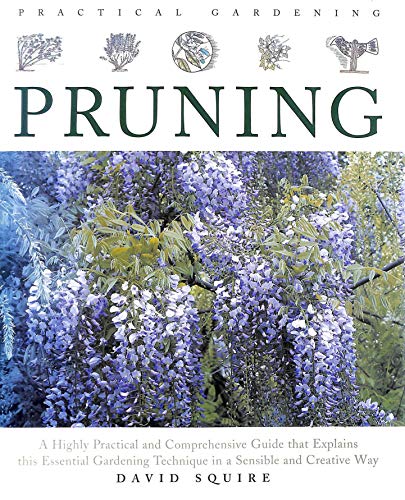 Beispielbild fr Practical Gardening: Pruning zum Verkauf von WorldofBooks