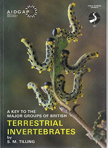 Stock image for A Key to the Major Groups of British Terrestrial Invertebrates: No 187 (Field Studies Council Publications) for sale by WorldofBooks