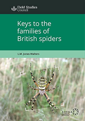 Stock image for Keys to the Families of British Spiders (AIDGAP) for sale by WorldofBooks