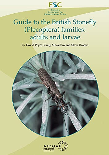 Beispielbild fr Guide to the British Stonefly (Plecoptera) Families zum Verkauf von Blackwell's